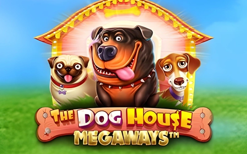 Win thousands of dynamic ways in The Dog House Megaways on 4Rabet Slots.